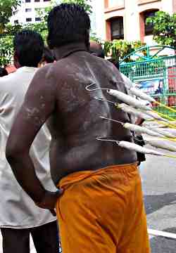 Thaipusam festival